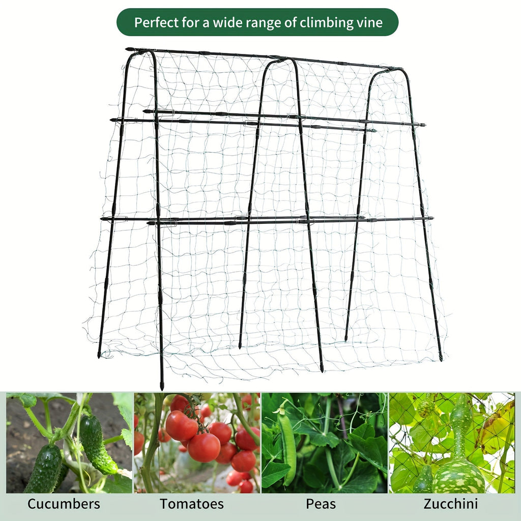 5 x 5 x 2 ft Garden Cucumber Trellis for Climbing Plants