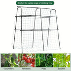 5 x 5 x 2 ft Garden Cucumber Trellis for Climbing Plants