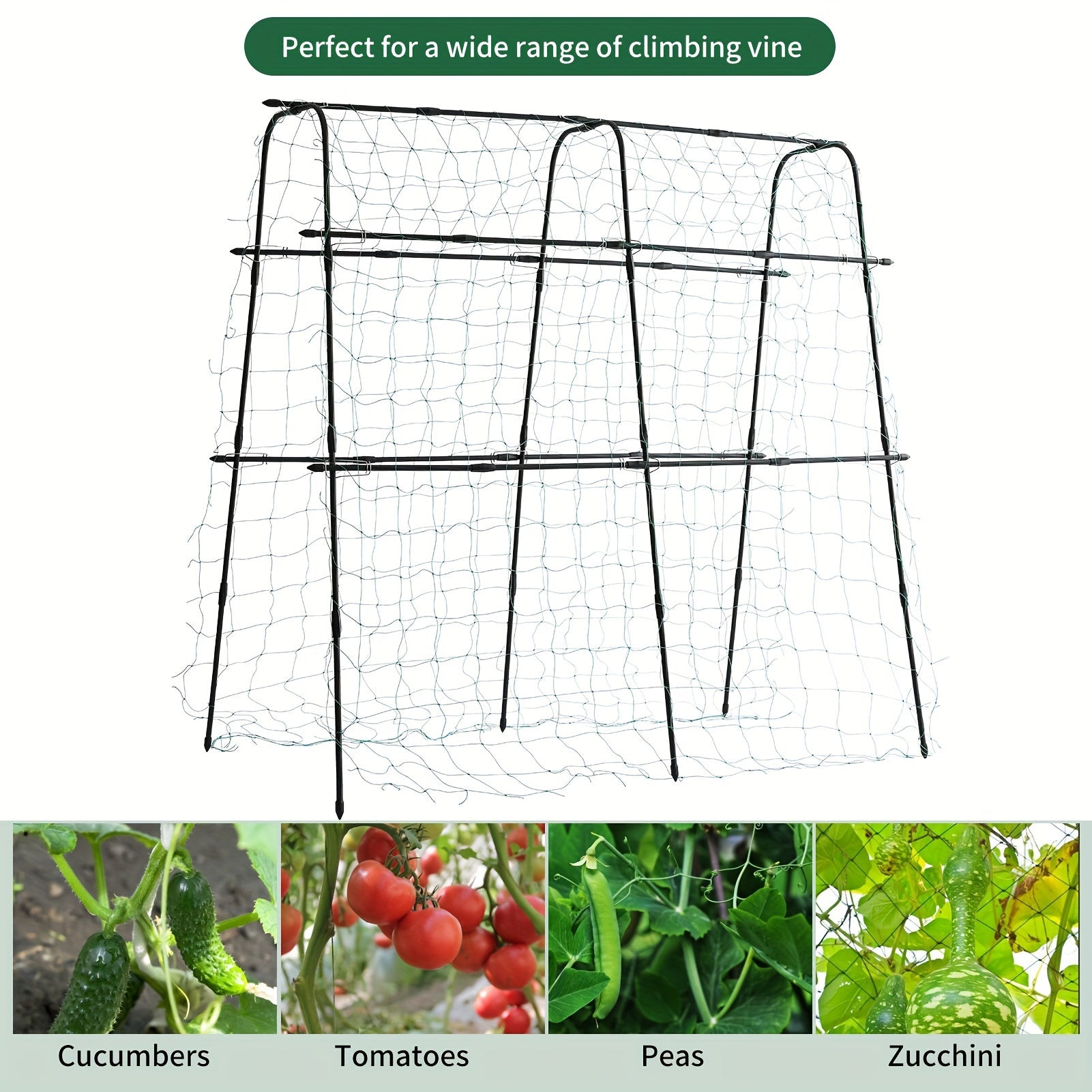 5 x 5 x 2 ft Garden Cucumber Trellis for Climbing Plants