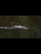 3 models/packs of fishing floats for fishing pine trout