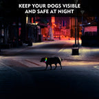 LED Cat Dog Collar, USB Rechargeable Flash Dog Necklace Light, Pet Safety Collar Makes Your Beloved Dogs Be Seen At Night
